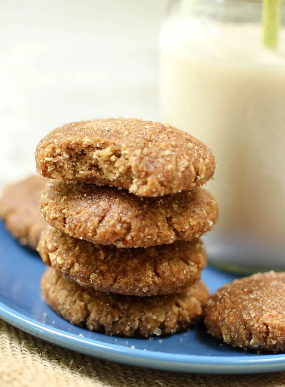 Chewy Snickerdoodle Recipe Vegan, GlutenFree, & OilFree